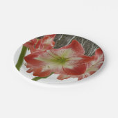 アマリリスインスノーレッドホリデーウィンターフローラ ペーパープレート (アングル)