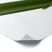 アマリリスインスノーレッドホリデーウィンターフローラ ポスター (角)