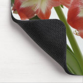 アマリリスインスノーレッドホリデーウィンターフローラ マウスパッド (コーナー)