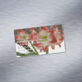 アマリリスインスノーレッドホリデーウィンターフローラ マグネット名刺 (インサイチュ)