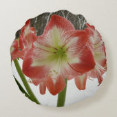 アマリリスインスノーレッドホリデーウィンターフローラ ラウンドクッション (裏面)