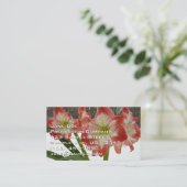 アマリリスインスノーレッドホリデーウィンターフローラ 名刺 (スタンド正面)