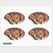 アマリリスインスノーレッドホリデーウィンターフローラ 楕円形シール (シート)