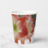 アマリリスインスノーレッドホリデーウィンターフローラ 紙コップ (裏面)