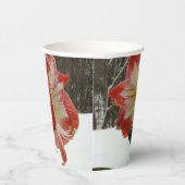 アマリリスインスノーレッドホリデーウィンターフローラ 紙コップ (右)