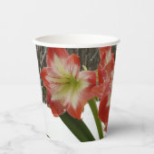 アマリリスインスノーレッドホリデーウィンターフローラ 紙コップ (正面)