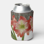 アマリリスインスノーレッドホリデーウィンターフローラ 缶クーラー (缶正面)