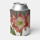 アマリリスインスノーレッドホリデーウィンターフローラ 缶クーラー (缶裏面)