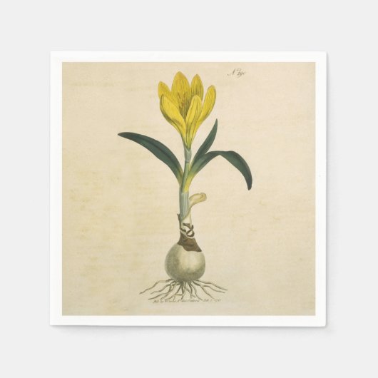 アマリリスチューリップ植物園花 スタンダードカクテルナプキン (正面)