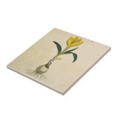 アマリリスチューリップ植物園花 タイル (側面)