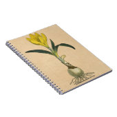 アマリリスチューリップ植物園花 ノートブック (右側)