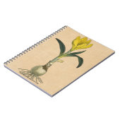 アマリリスチューリップ植物園花 ノートブック (左側)