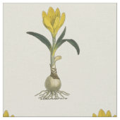 アマリリスチューリップ植物園花 ファブリック (クローズアップ)