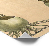 アマリリスチューリップ植物園花 ポスター (角)