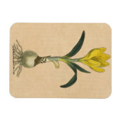 アマリリスチューリップ植物園花 マグネット (横)