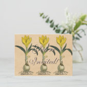 アマリリスチューリップ植物園花 招待状 (スタンド正面)