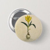 アマリリスチューリップ植物園花 缶バッジ (正面&裏面)