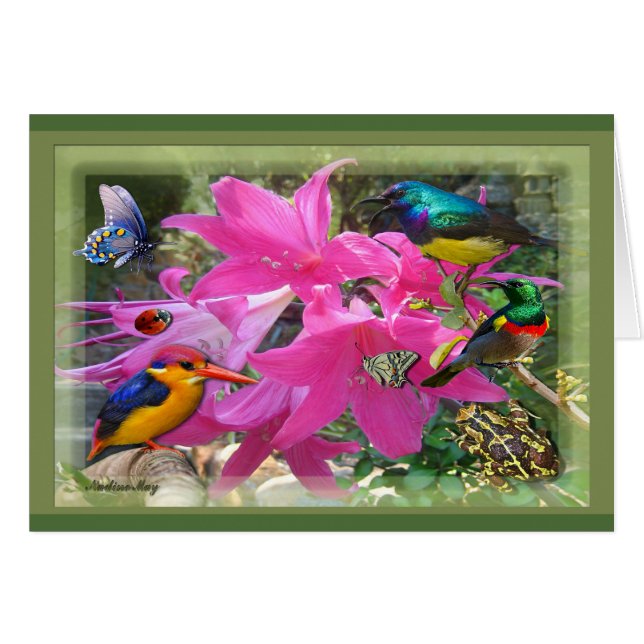 アマリリスパーティー (正面横)