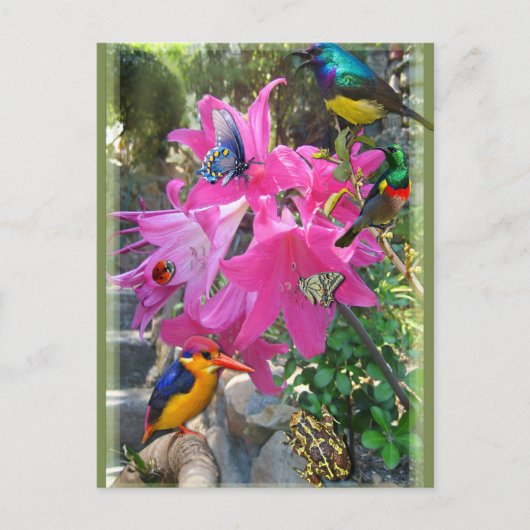 アマリリスパーティー インビテーションポストカード (正面)