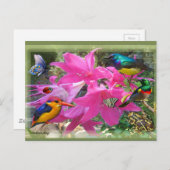 アマリリスパーティー インビテーションポストカード (正面/裏面)