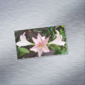 アマリリスフラワープラントインガーデン マグネット名刺 (インサイチュ)