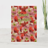 アマリリスフローラ誕生日カード カード (正面)