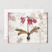 アマリリスベラドンナ ポストカード (正面/裏面)