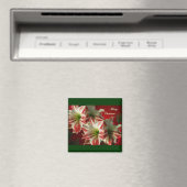 アマリリスペアクリスマスマグネット マグネット (インサイチュ (食洗機))