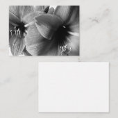 アマリリス二輪の花の写真 ノートカード (正面/裏面)
