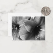 アマリリス二輪の花の写真 ノートカード (正面/裏面インサイチュ)