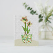 アマリリス葉書 ポストカード (スタンド正面)