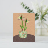 アマリリス葉書 ポストカード (スタンド正面)