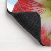 アマリリス赤と白メガスター マウスパッド (コーナー)