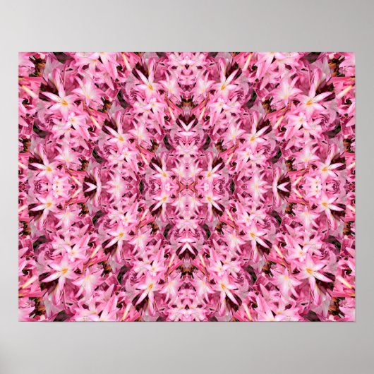 アマリリス鏡..... ポスター (正面)