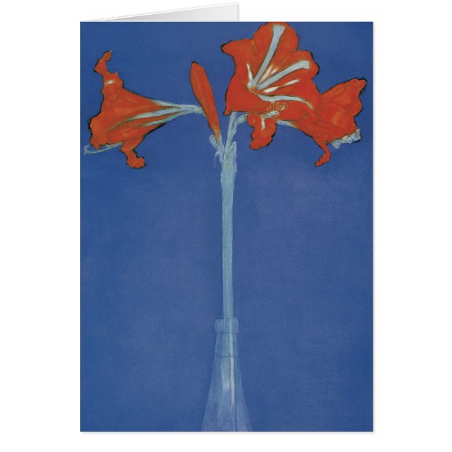 アマリリス (正面)