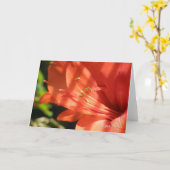 アマリリス01のカード カード (黄色い花)