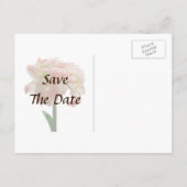 アマリリス アフロディーテ Save the Date 案内ポストカード (裏面)
