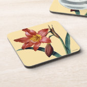 アマリリス コースター (左側)