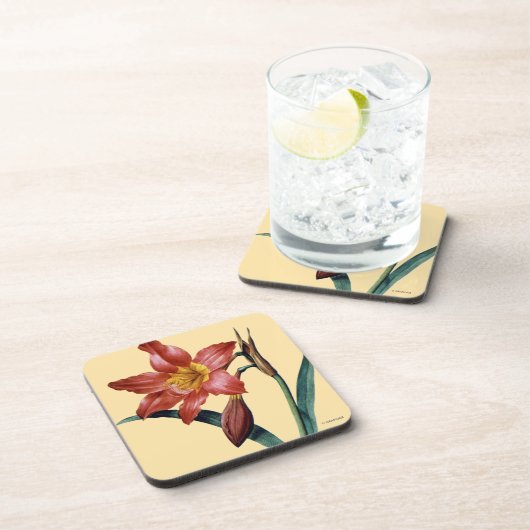 アマリリス コースター (右側)