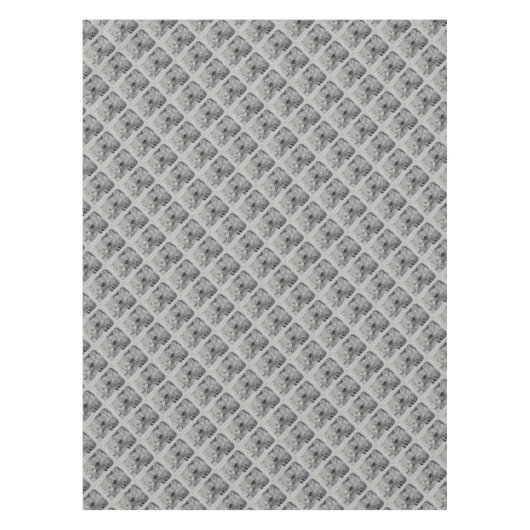 アマリリス テーブルクロス (正面)