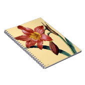 アマリリス ノートブック (右側)