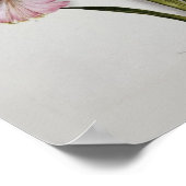 アマリリス・ベラドンナ ポスター (角)