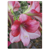 アマリリス&ポインセチア赤いホリデーフラワー クリップボード (裏面)