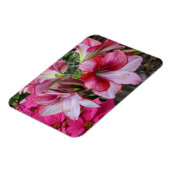 アマリリス&ポインセチア赤いホリデーフラワー マグネット (左側)