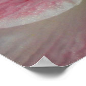 アマリリス・ポスター ポスター (角)