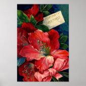 アマリリス・ポスター ポスター (正面)