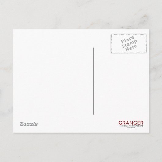 アマリリス ポストカード (裏面)