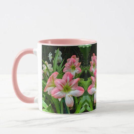 アマリリス マグカップ (左)