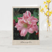 アマリリス-花シリーズ カード (黄色い花)