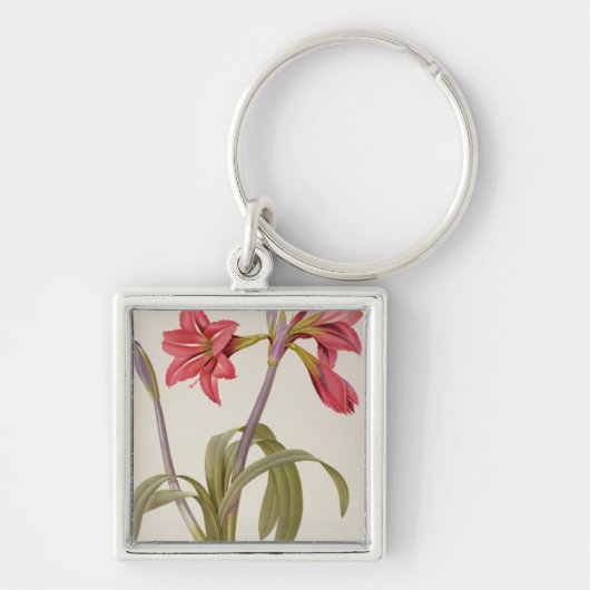アマリリスBrasiliensis キーホルダー (正面)